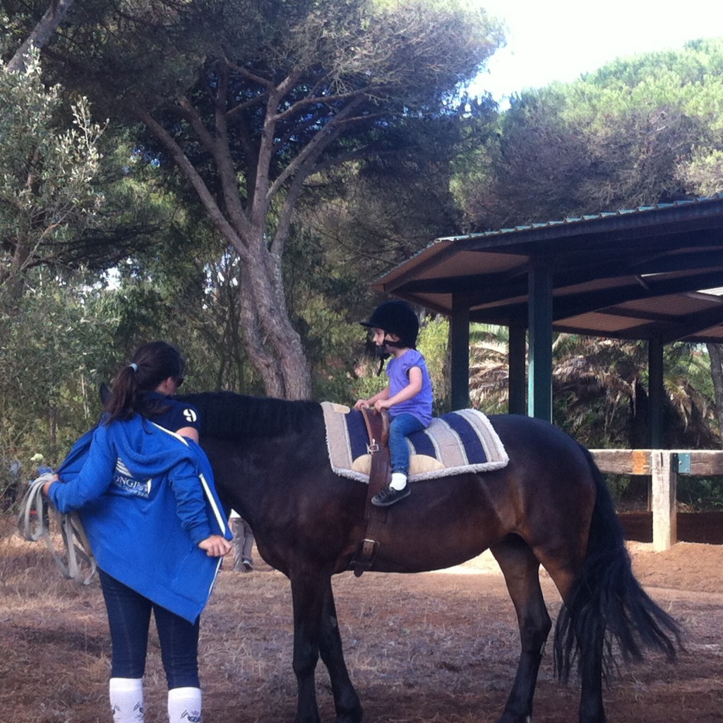 Tempos Livres: Passeio no Campo